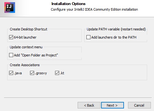 설치 옵션 선택 화면