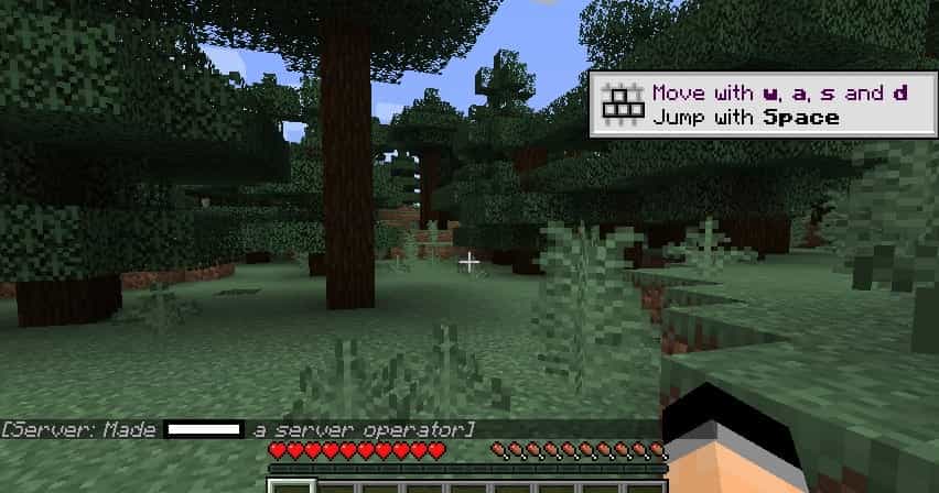 제대로 접속된 마인크래프트 서버