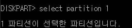 파티션 선택