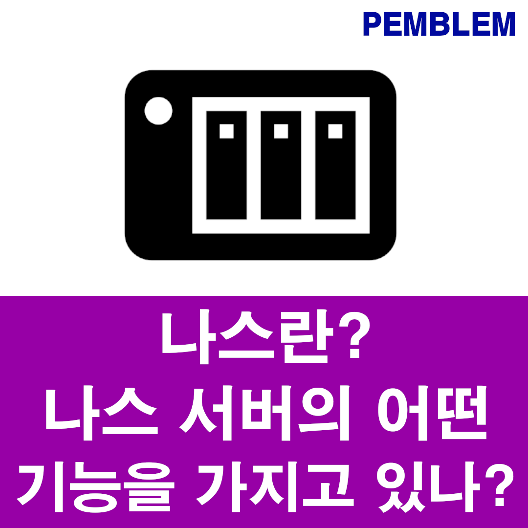 나스는 도대체 무엇인가?