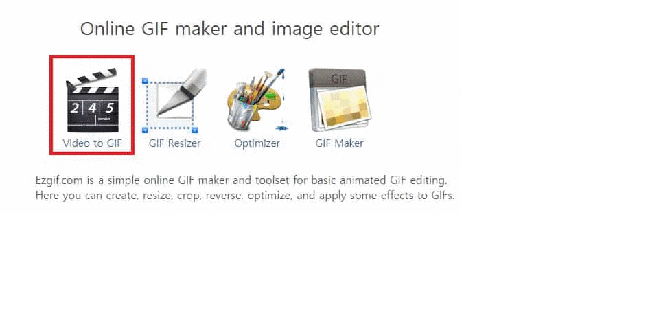 사진으로 제작된 GIF 결과물