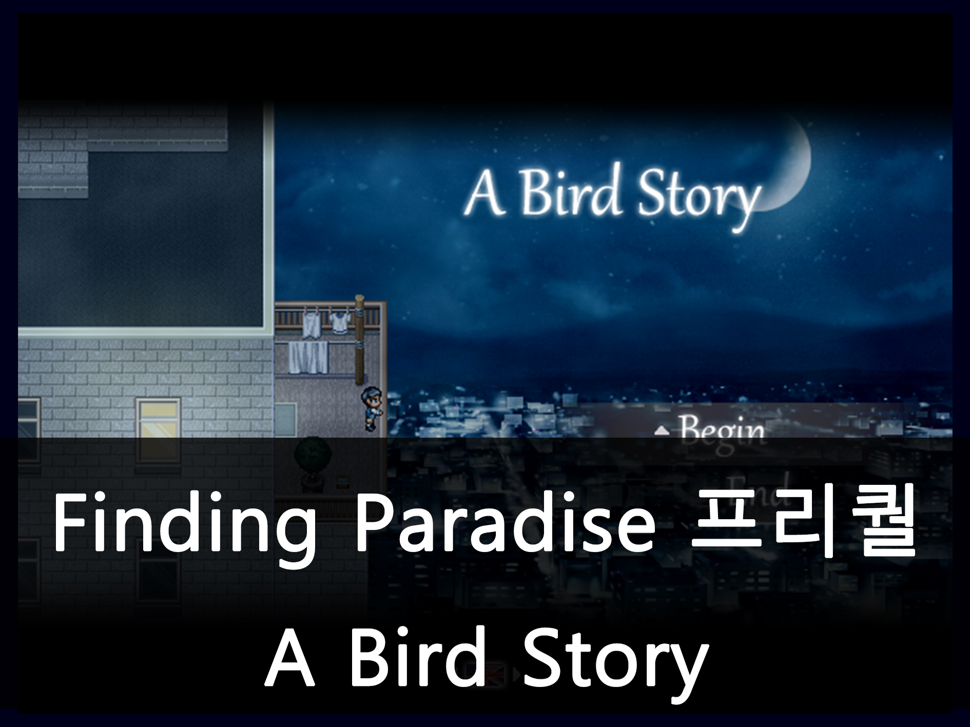 A Bird Story 대표 이미지