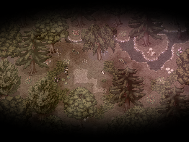 다친 새와의 만남