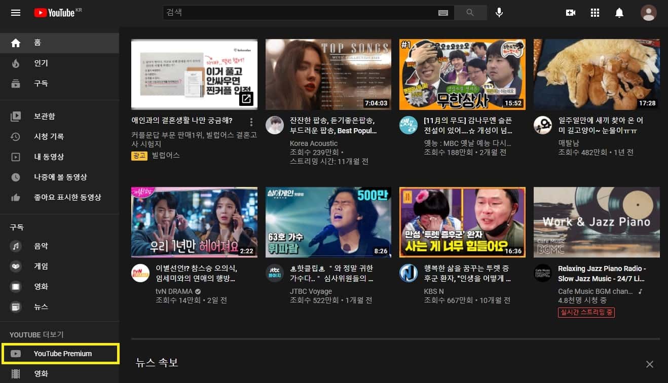좌측의 유튜브 프리미엄 탭