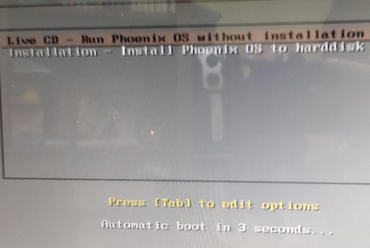 피닉스 OS 설치 메뉴