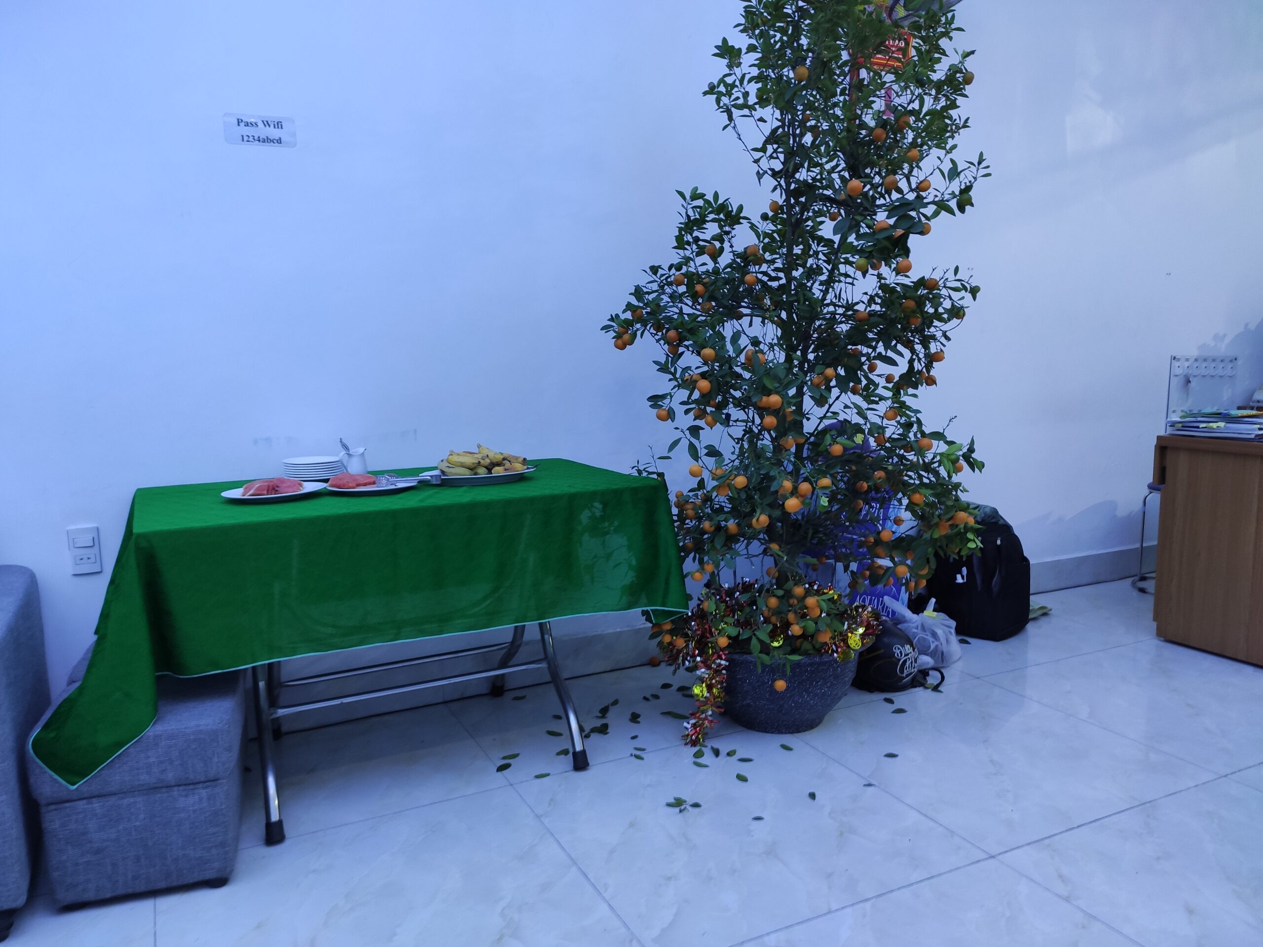 호텔 조식으로 제공되는 과일들