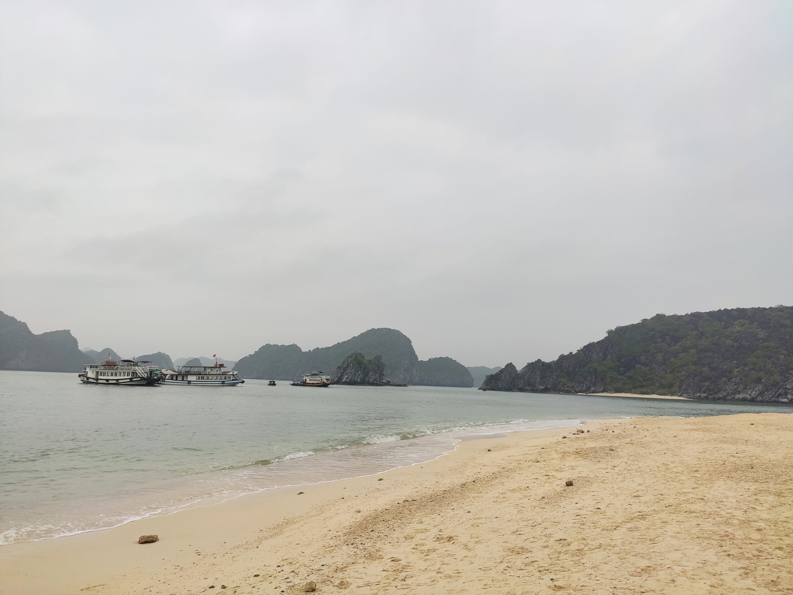 원숭이 섬 모래사장