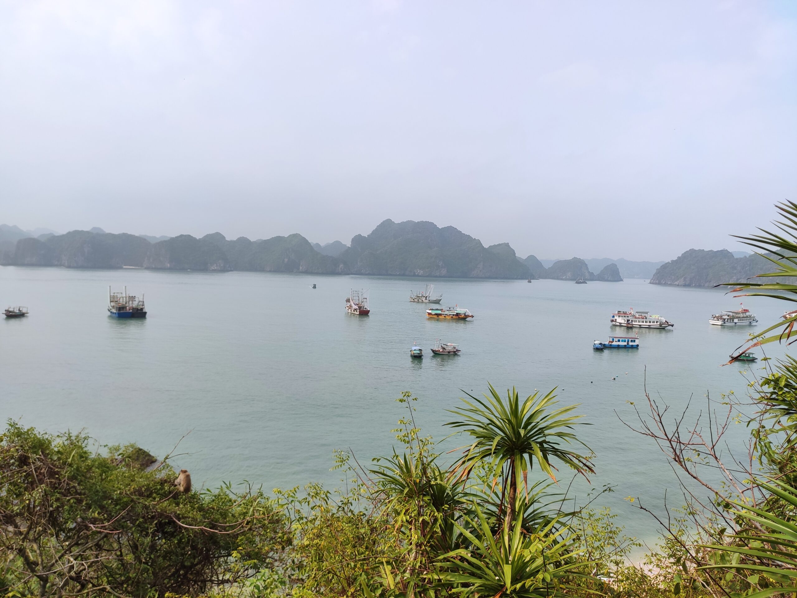 섬 정상에서 본 전경