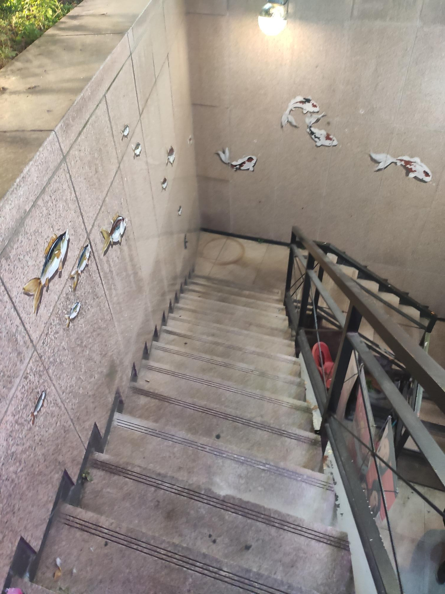 낚시카페 내려가는 길의 물고기 그림들